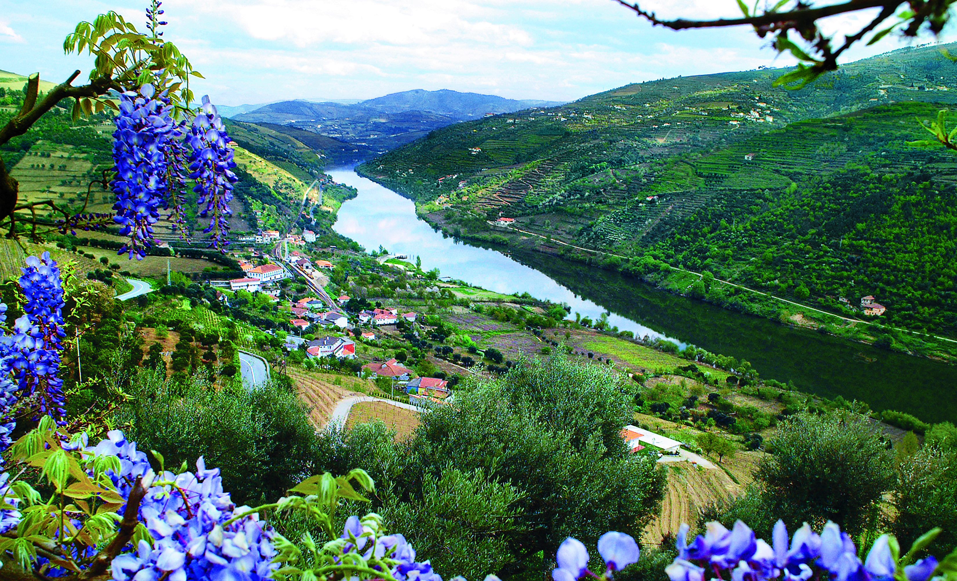 Douro_River_Valley_Portugal