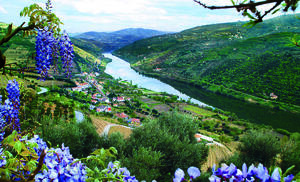 Douro_River_Valley_Portugal