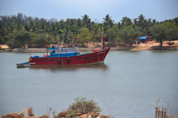 DSC_1934 India Mangalore