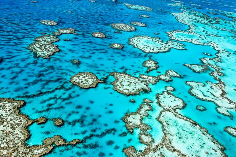 Great Barrier Reef Blog Photo.jpg