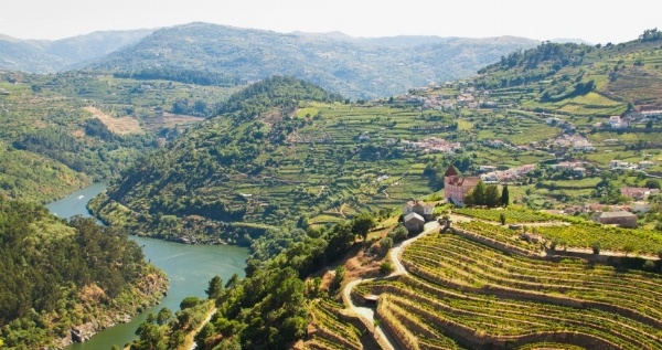 vineyards-ribeira-do-Douro-000048492192_Small-187661-edited.jpg