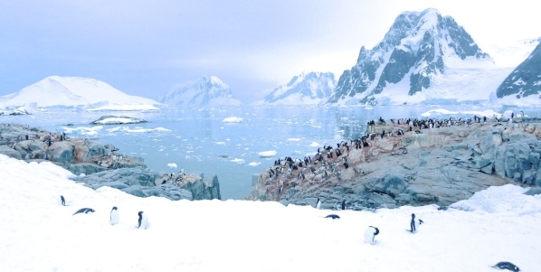 Antarctica_View-311456-edited.jpg