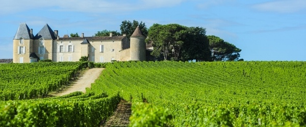 Vineyard-and-Chateau-dYquem-Sauternes-Region-Aquitaine-Franc-000040656846_Small-358340-edited.jpg